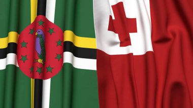 Gerçekçi kumaş dokusuna sahip DOMINICA ve TONGA bayrakları