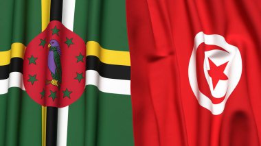 Gerçekçi kumaş dokusuna sahip DOMINICA ve TUNISIA bayrakları