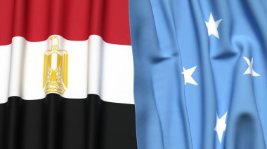 Gerçekçi kumaş dokusuna sahip EGYPT ve MICRONEA bayrakları