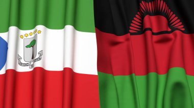 Eşitlikçi Guinea ve MALAWI bayrakları gerçekçi kumaş dokusuyla