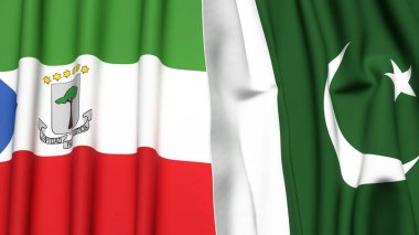 Eşitlikçi Guinea ve PAKISTAN bayrakları gerçekçi kumaş dokusuyla