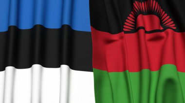 Estonya bayrakları ve gerçekçi kumaş dokusuna sahip MALAWI