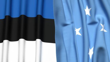 Gerçekçi kumaş dokusuna sahip Estonya ve MICRONESIA bayrakları