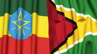 EthIOPIA ve GUYANA bayrakları gerçekçi kumaş dokusuna sahip