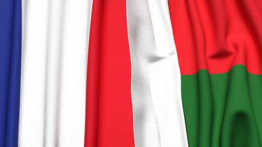 FRANCE ve MADAGASCAR bayrakları gerçekçi kumaş dokusuna sahip