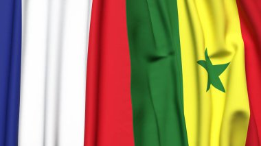 FRANCE ve SENEGAL bayrakları gerçekçi kumaş dokusuyla