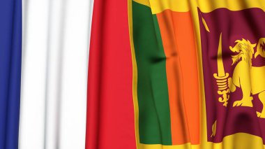 FRANCE ve SRI LANKA bayrakları gerçekçi kumaş dokusuna sahip