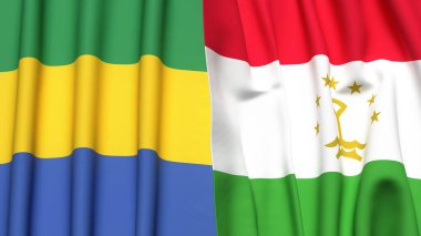 GABON ve TAJIKISTAN bayrakları gerçekçi kumaş dokusuna sahip