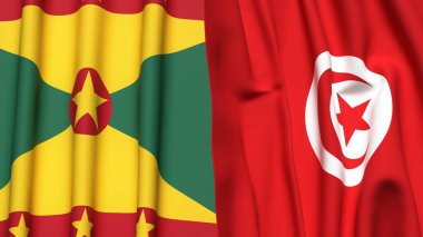 GRENADA ve TUNISIA bayrakları gerçekçi kumaş dokusuyla