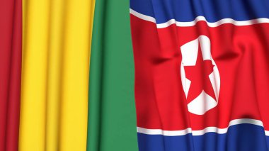 Guinea ve Kore 'nin bayrakları gerçekçi kumaş dokusuna sahip.