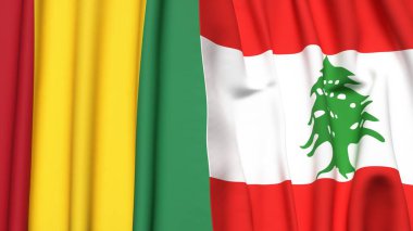 Guinea ve LeBron bayrakları gerçekçi kumaş dokusuyla