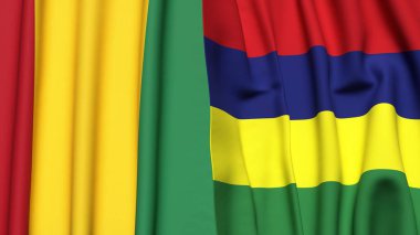 Guinea ve Valilik bayrakları gerçekçi kumaş dokusuna sahiptir.