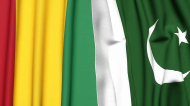Guinea ve PAKISTAN bayrakları gerçekçi kumaş dokusuyla