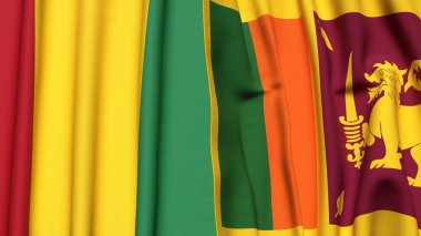 Guinea ve SRI LANKA bayrakları gerçekçi kumaş dokusuyla