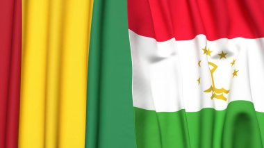 Guinea ve TAJIKISTAN bayrakları gerçekçi kumaş dokusuna sahip