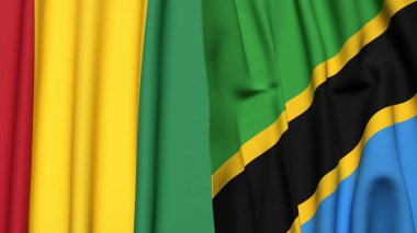 Guinea ve TANZANIA bayrakları gerçekçi kumaş dokusuyla