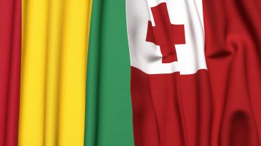 Guinea ve TONGA bayrakları gerçekçi kumaş dokusuyla