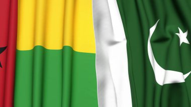 Guinea-BISSAU ve PAKISTAN bayrakları gerçekçi kumaş dokusuyla