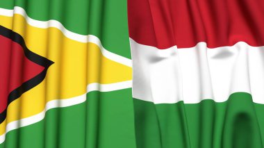 GUYANA ve HUNGARY bayrakları gerçekçi kumaş dokusuyla