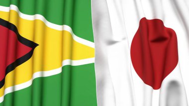GUYANA ve JAPAN bayrakları gerçekçi kumaş dokusuyla