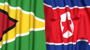 GUYANA Bayrakları ve KOREA Kuzey Gerçekçi kumaş dokusuyla