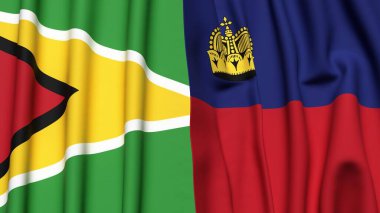 GUYANA ve LIECHTENSTEIN bayrakları gerçekçi kumaş dokusuyla