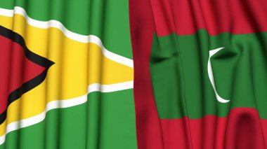 GUYANA ve MALDIVES bayrakları gerçekçi kumaş dokusuyla