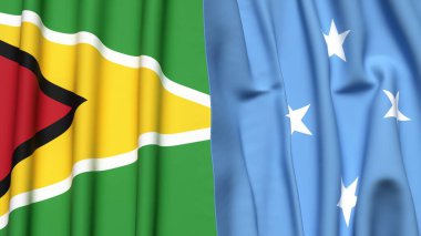 GUYANA ve MICRONEZYA bayrakları gerçekçi kumaş dokusuna sahip