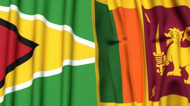 GUYANA ve SRI LANKA bayrakları gerçekçi kumaş dokusuna sahip