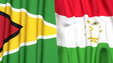 GUYANA ve TAJIKISTAN bayrakları gerçekçi kumaş dokusuna sahip