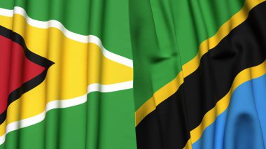 GUYANA ve TANZANIA bayrakları gerçekçi kumaş dokusuyla