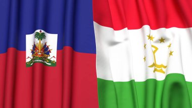 HAITI ve TAJIKISTAN bayrakları gerçekçi kumaş dokusuna sahip