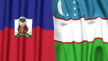 HAITI ve UZBEKISTAN bayrakları gerçekçi kumaş dokusuna sahip
