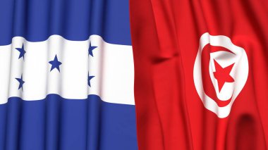 HONDURAS ve TUNISIA bayrakları gerçekçi kumaş dokusuyla