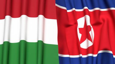 HUNGARY Bayrakları ve KOREA Kuzey Gerçekçi kumaş dokusuyla