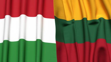 HUNGARY ve LITHUANIA bayrakları gerçekçi kumaş dokusuyla