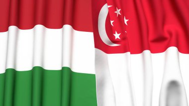 HUNGARY ve SINGAPORE bayrakları gerçekçi kumaş dokusuyla