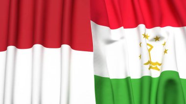Gerçekçi kumaş dokusuna sahip Indonezya ve TAJIKISTAN bayrakları