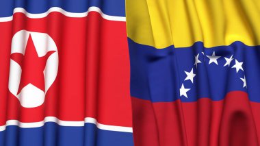 Kuzey Kore ve Venezuela 'nın gerçekçi kumaş dokusuna sahip bayrakları