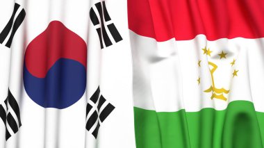 Güney Kore ve TAJIKISTAN bayrakları gerçekçi kumaş dokusuyla