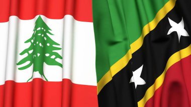 LEBON Bayrakları ve Aziz Kediler