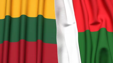 LITHUANIA VE MADAGASCAR Bayrakları