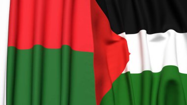 MADAGASCAR Bayrakları ve Filistin 4k