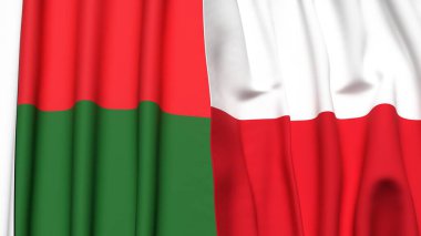 MADAGASCAR VE POLAND Bayrakları