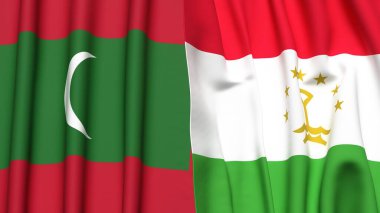 MALDIVES ve TAJIKISTAN bayrakları gerçekçi kumaş dokusuna sahip