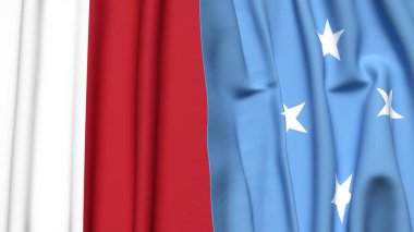 MALTA ve MICRONEZYA bayrakları gerçekçi kumaş dokusuyla