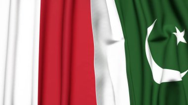 MALTA ve PAKISTAN bayrakları gerçekçi kumaş dokusuyla