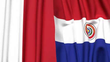 MALTA ve PARAGUAY bayrakları gerçekçi kumaş dokusuyla