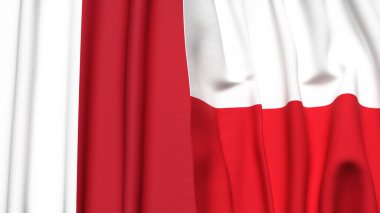 MALTA ve POLAND bayrakları gerçekçi kumaş dokusuyla