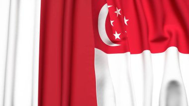 MALTA ve SINGAPORE bayrakları gerçekçi kumaş dokusuyla